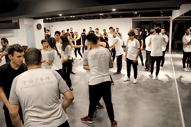 Wing Chun 12 wing chun 6